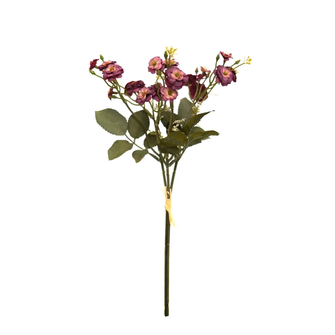 Klein rose