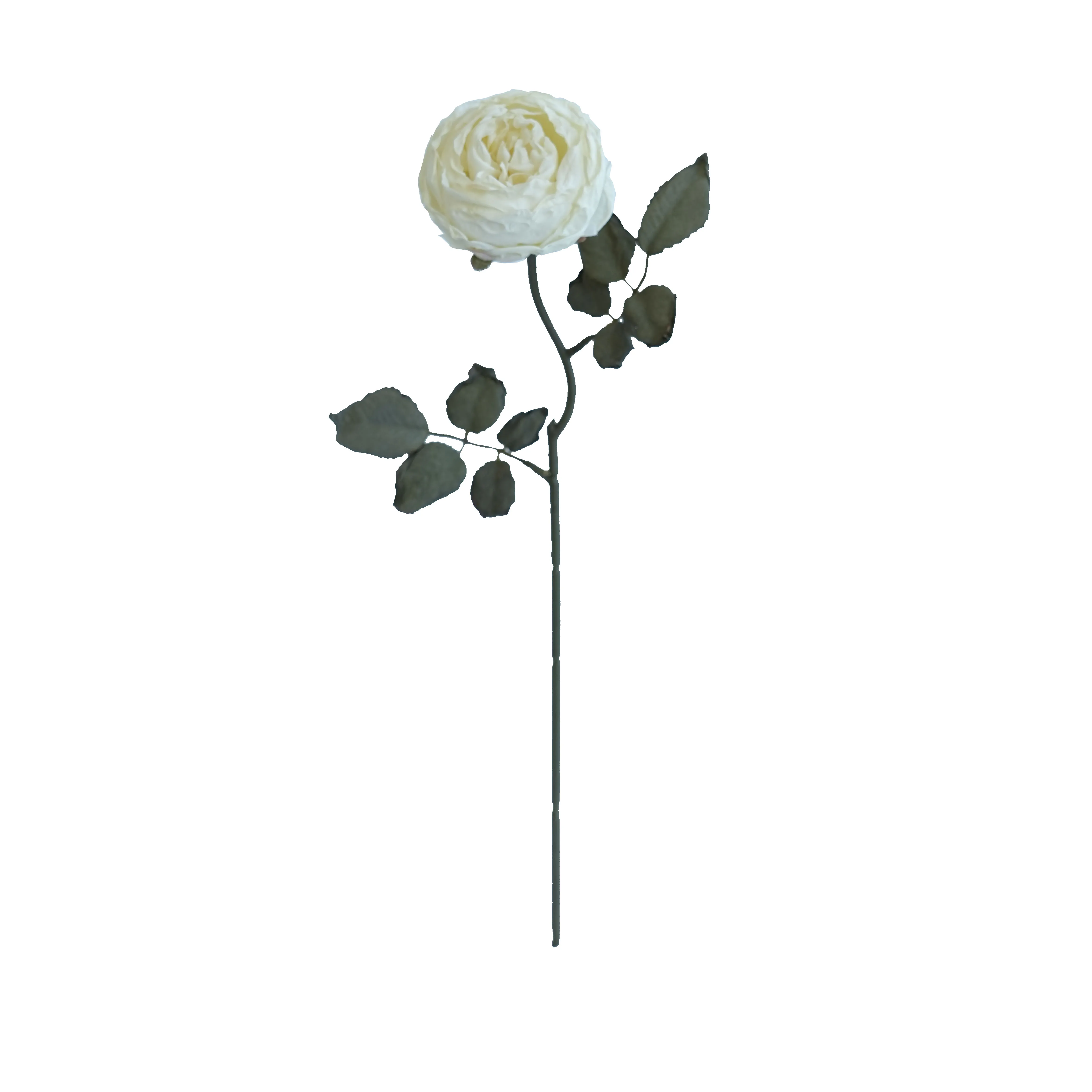 The future of arizona silk flower company