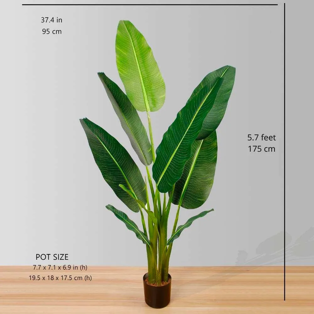 Kunsmatige reisigers Palmboompotplant
