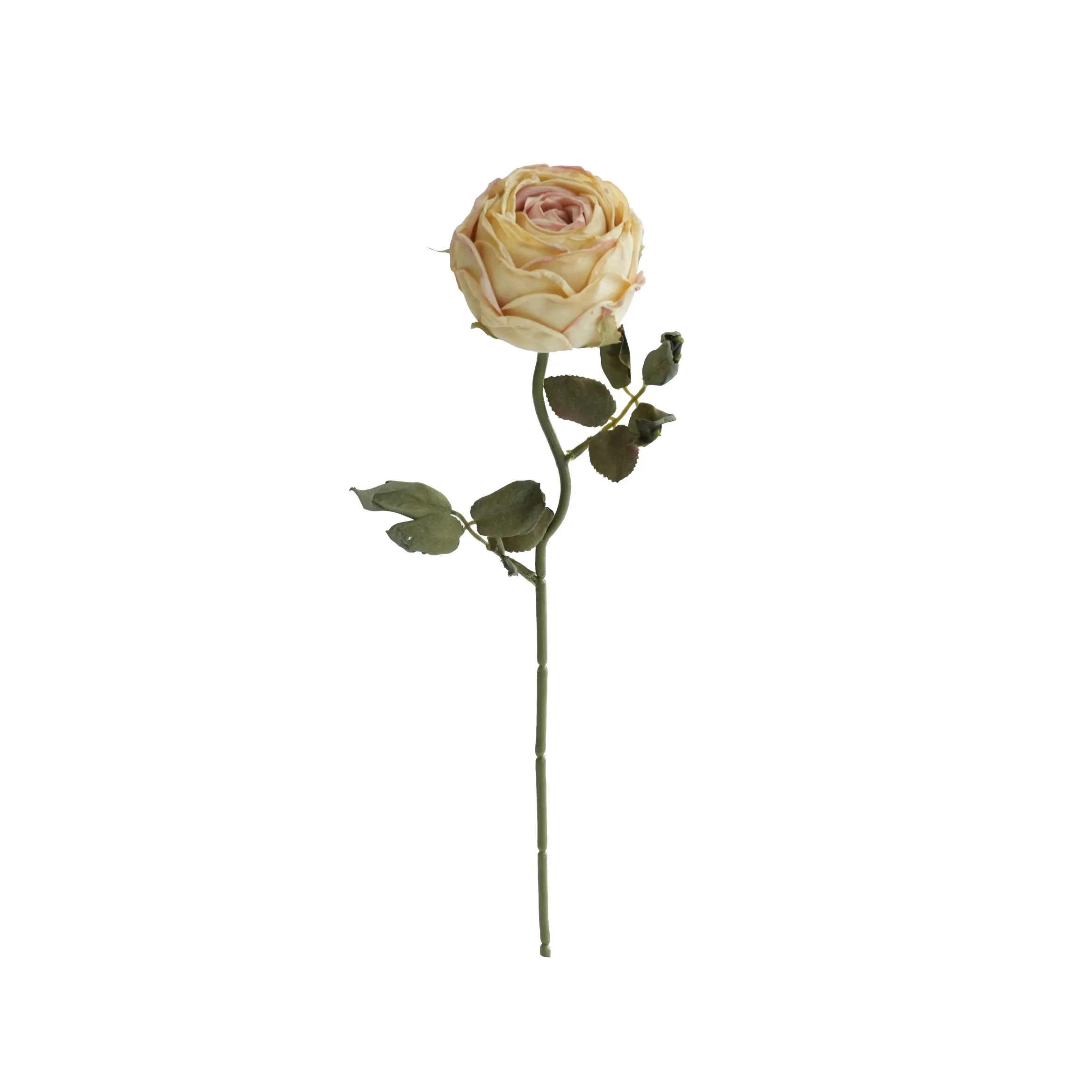 Gekapte ronde rose