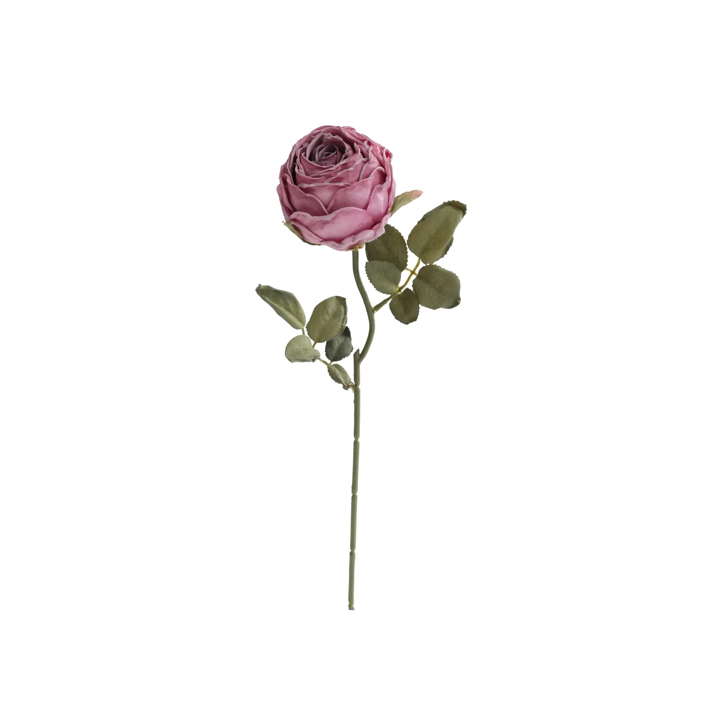 Gekapte ronde rose