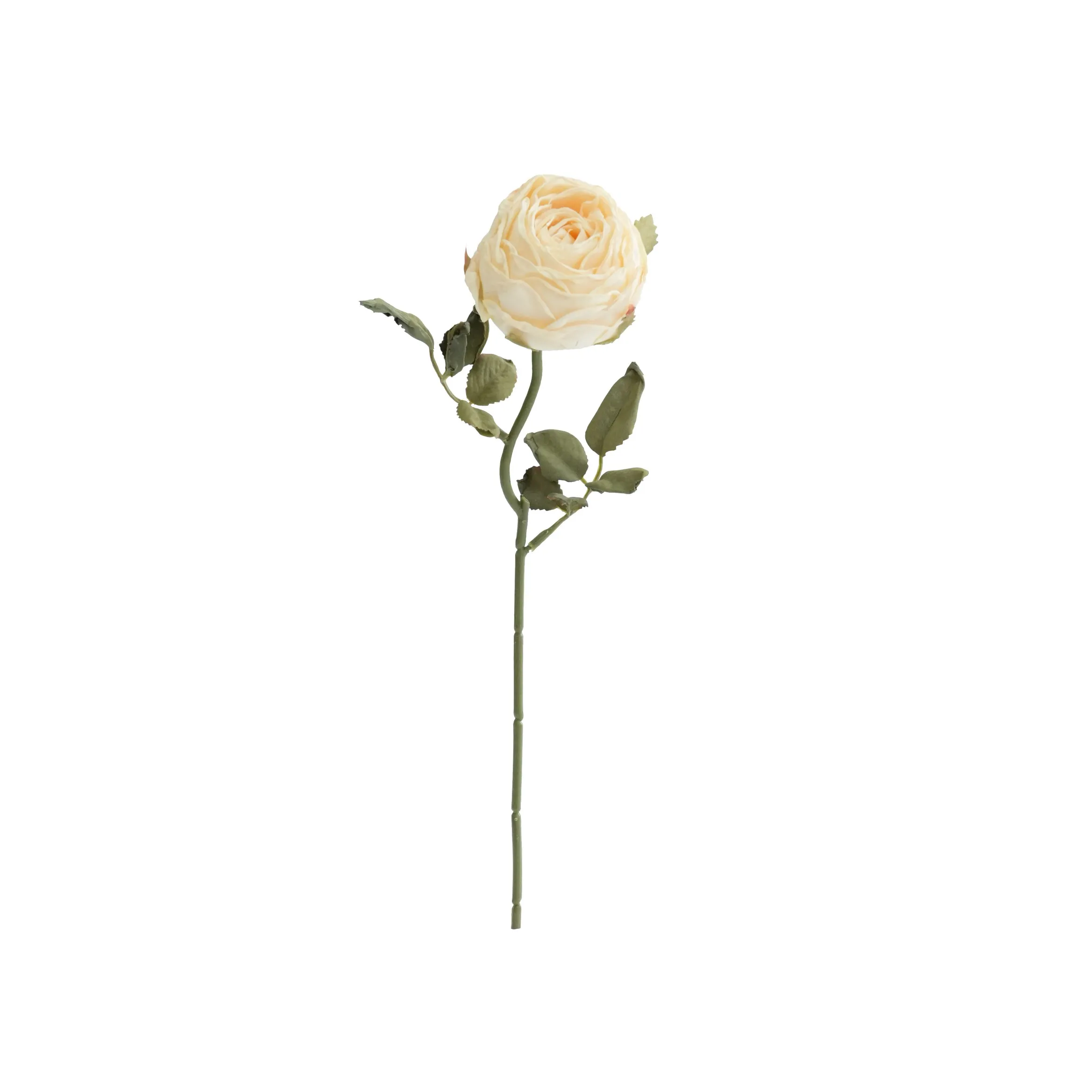Gekapte ronde rose