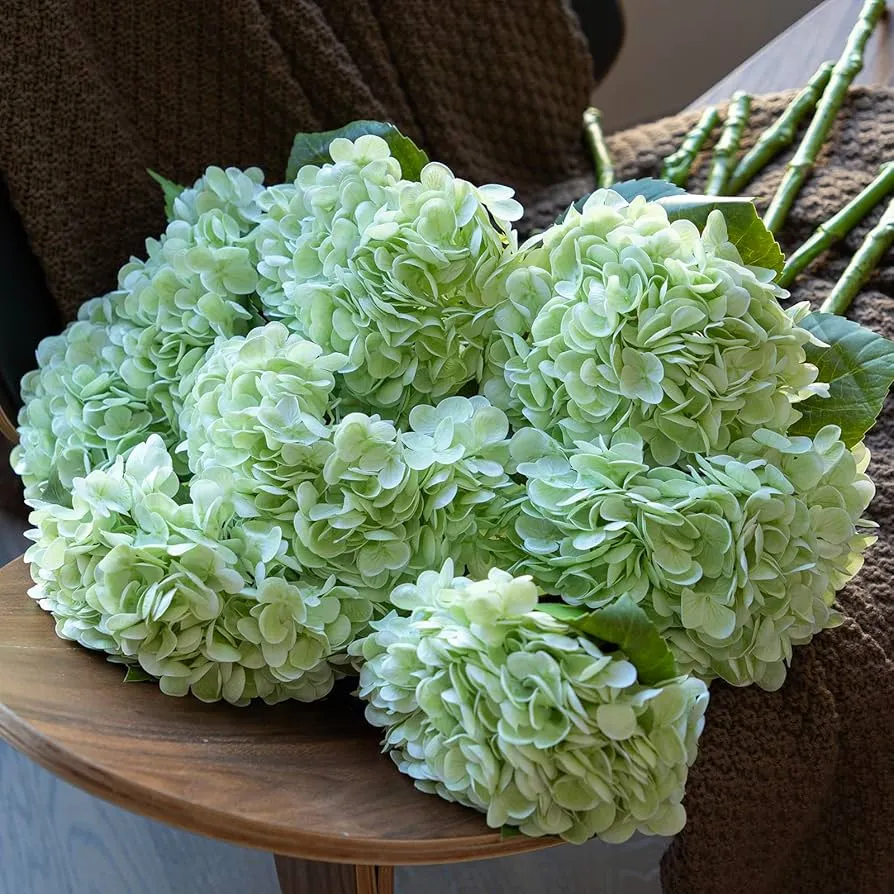 Vals blomme regte aanraking hortensia