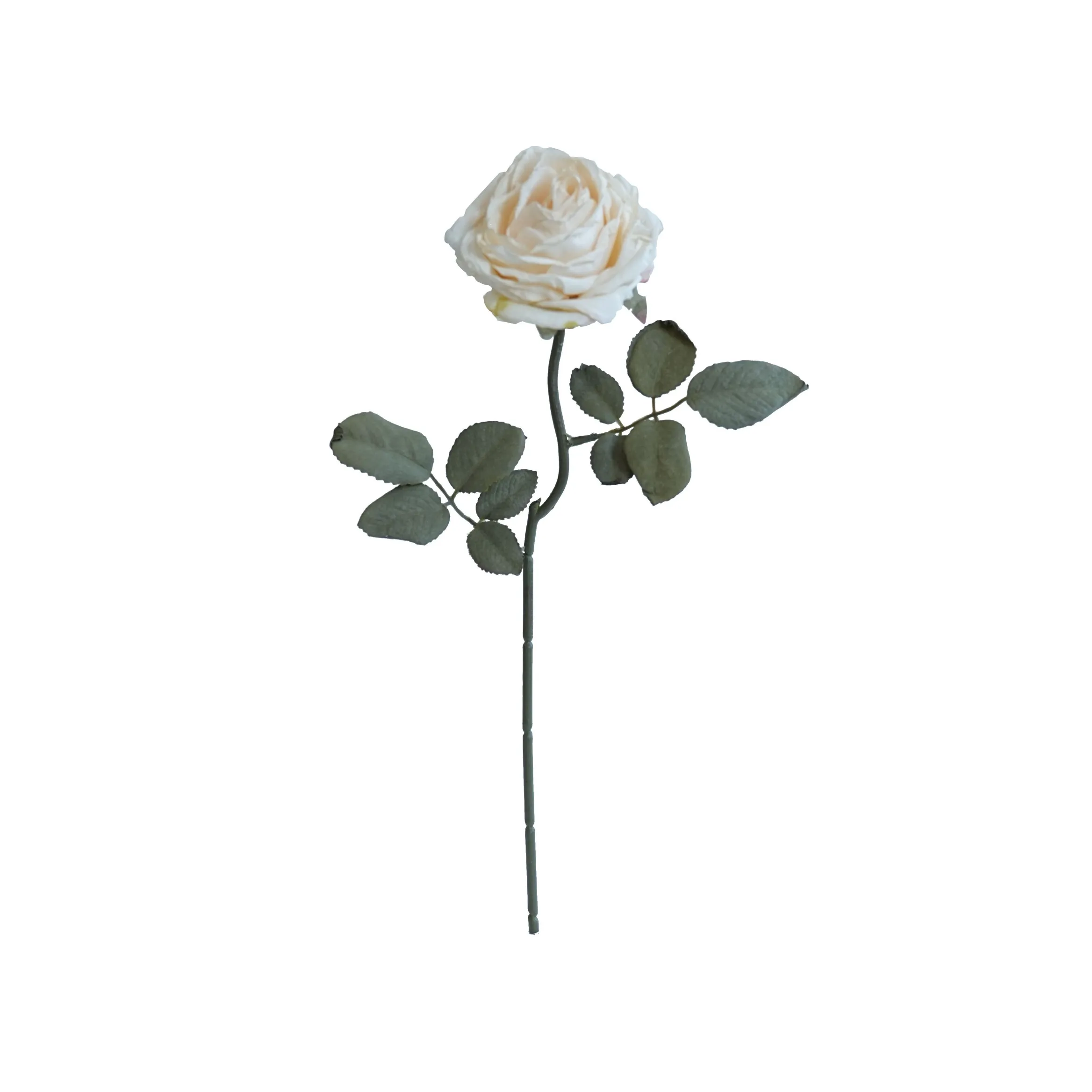 Cork-grense met meerlaagse rose